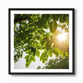 Sun Shining Through Green Leaves 2 Art Print