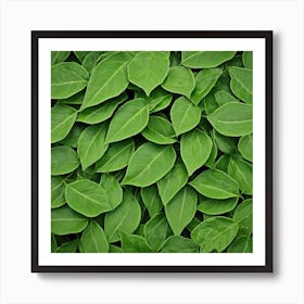 Green Leafs As Background (5) Art Print