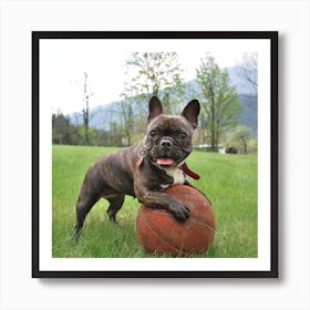 French Bulldog Playing Basketball Art Print