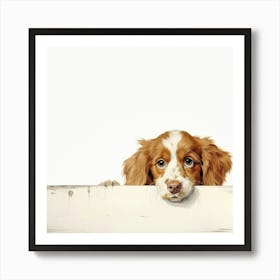 Setter Irish Red Art Print