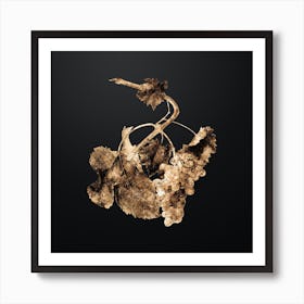 Gold Botanical Vermentino Grapes on Wrought Iron Black Art Print