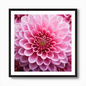 Pink Dahlia Flower 1 Art Print