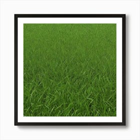 Green Grass 54 Art Print