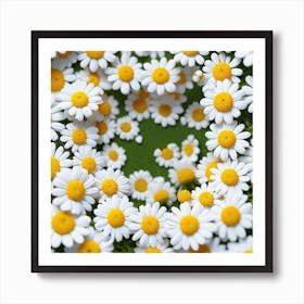 Daisy 5 Art Print