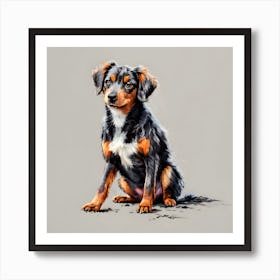 Australian Shepherd Art Print