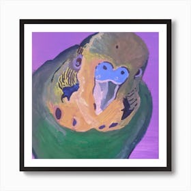 Joey the budgie  Art Print