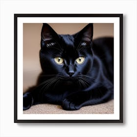 Black Cat Art Print