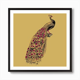 Yellow Peacock Art Print