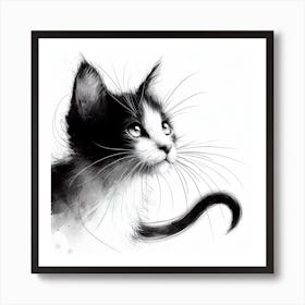 Black And White Kitten 1 Art Print