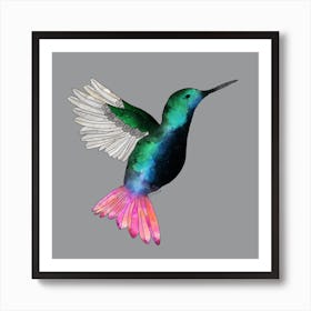 Hummingbird Square Art Print