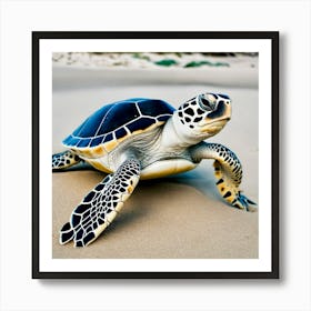 Turtle On The Beach Art Print