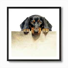 Dachshund 8 Art Print