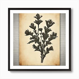 Botanical Print Art Print