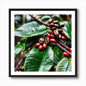 Coffee Beans On A Tree 57 Art Print