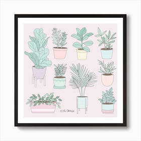 House Plants Guide Art Print
