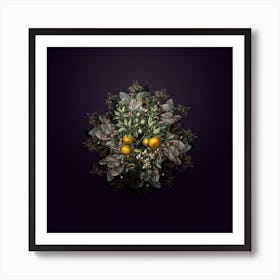 Vintage Bitter Orange Fruit Wreath on Royal Purple n.1331 Art Print