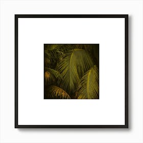 Palm Leaves at golden hour small square Art Print