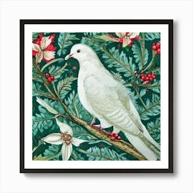 Dove On Branch Art Print