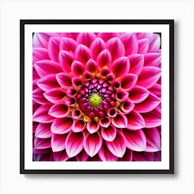 Vibrant pink dahlia flower 3 Art Print