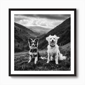 Cute Dogs Inabeautifulplace Poster