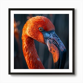 Flamingo 14 Art Print