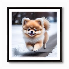 Pomeranian Puppy Art Print