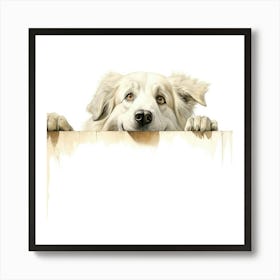 Dog Looking Over A Fence Art Print