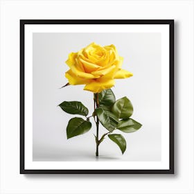 Yellow Rose Art Print