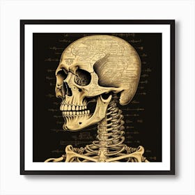 Anatomy Of The Human Skeleton Art Print