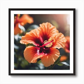 Hibiscus Flower Art Print