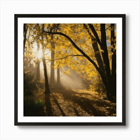 Sun Shining Through Trees Art Print