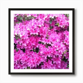 Azaleas 12 Art Print