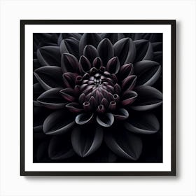 Black Dahlia 1 Art Print