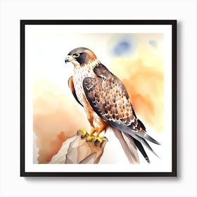Falcon Watercolour2 Art Print