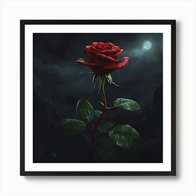 Red Rose In The Dark Art Print