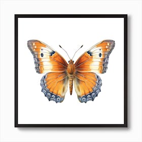 Butterfly 30 Art Print