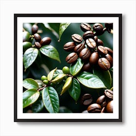 Coffee Beans On A Tree 53 Art Print