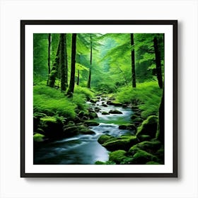 Forest Stream Art Print