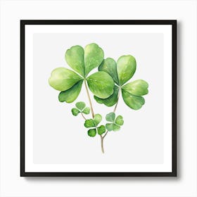 Four Leaf Clover 13 Art Print