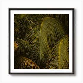 Palm Leaves at Golden Hour Square Art Print