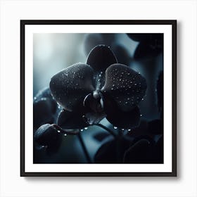 Orchids In The Rain Art Print