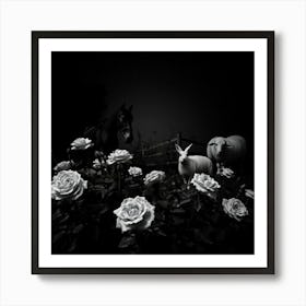 Black And White Roses 2 Affiche