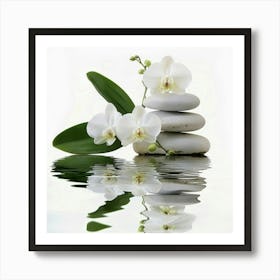 White Orchids 1 Art Print