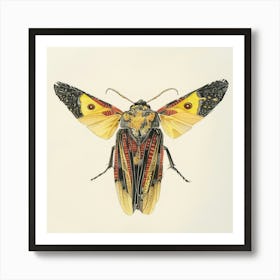 Moth Drawing 1 Art Print