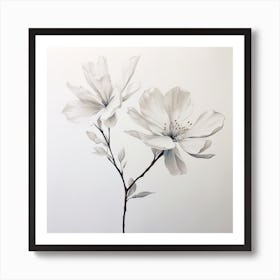 Two White Flowers Art Print