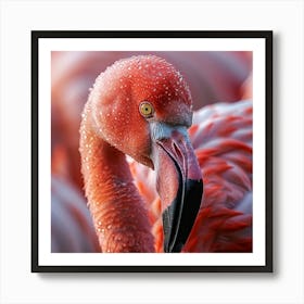 Flamingo 46 Art Print