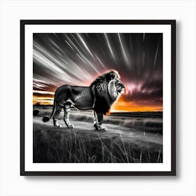 Lion At Sunset 11 Art Print