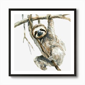 Sloth Hanging On A Branch Art Print