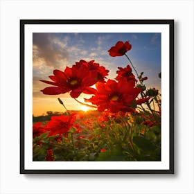 Sunset With Red Flowers Art Print