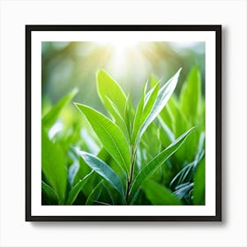 Ecology Plant Green Nature Garden Flora Fresh Leaf Summer Natural Environment Spring Gra (6) Art Print